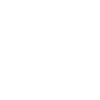 tiktok icon